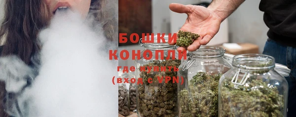 дживик Володарск