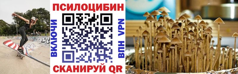 Псилоцибиновые грибы Psilocybe  наркота  ОМГ ОМГ как зайти  Райчихинск 